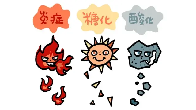 肌の糖化・酸化が老け見えを招く?!原因や炎症との関連性